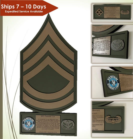 Army Rank Plaque Promotion Personalized Military PCS Award Custom Engraved Service Award Unique Army Veteran Gift Personalized Enlisted Rank